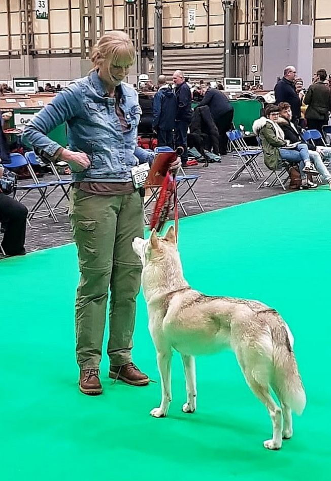 Ali with Kitty (Ch Forstal's Kittila) at Crufts