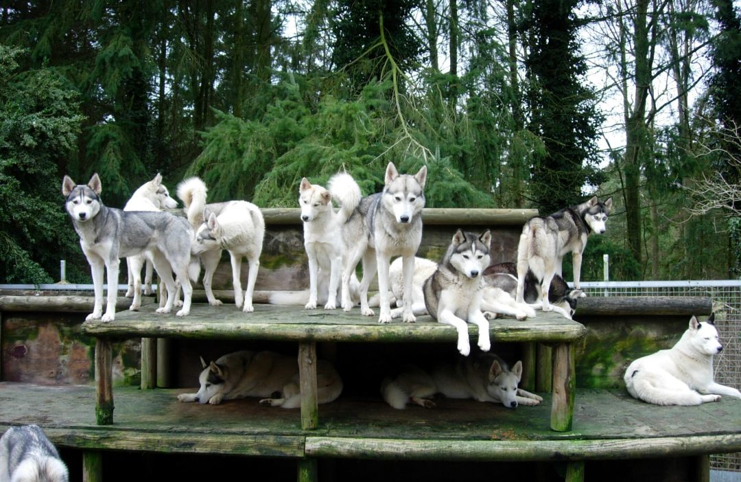 Relaxing on their Platform