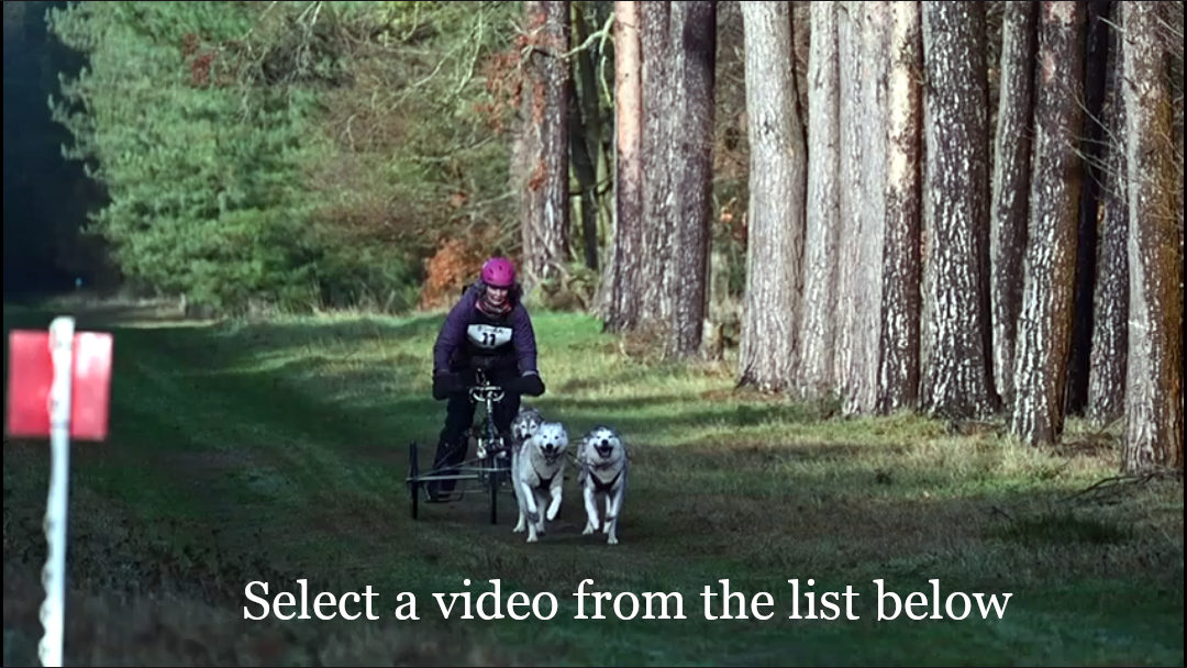 Video Static Background Image: Fiddlesticks Clog Dancers - please select a video from the list below
